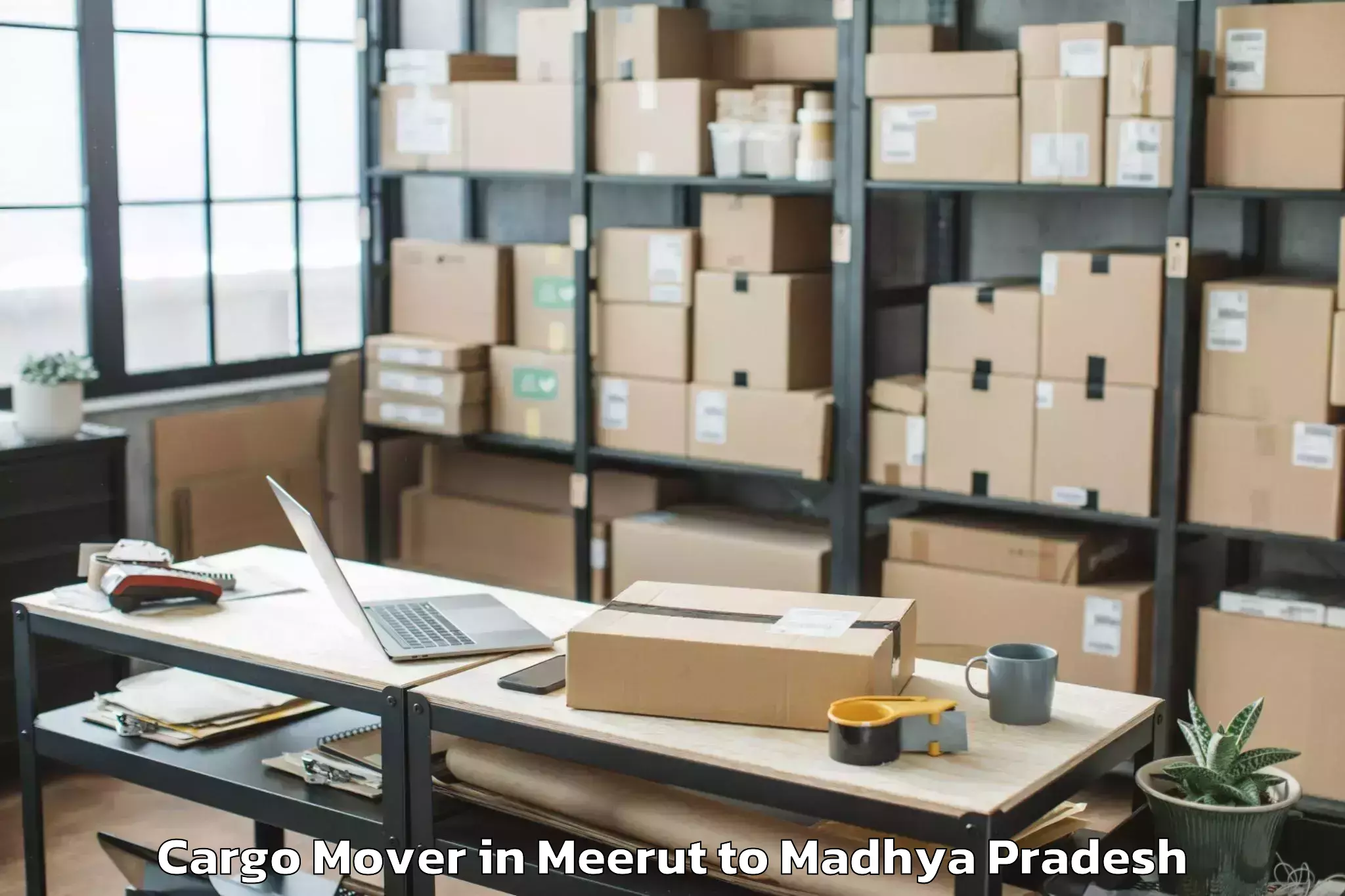 Leading Meerut to Porsa Cargo Mover Provider